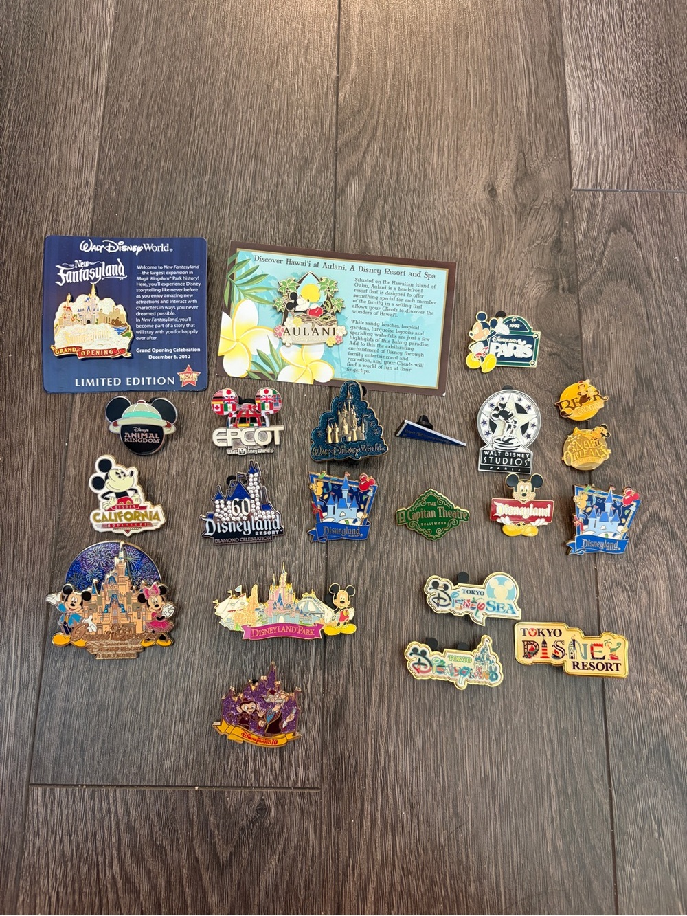 Disney Collectible Park Pins lot